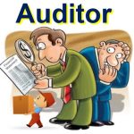 auditor1